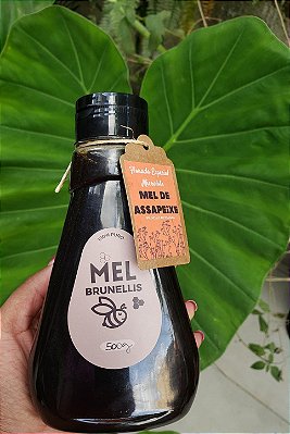 Mel Bisnaga 500g - ASSAPEIXE