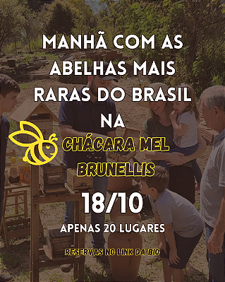18/10/26-Experiência no Meliponário MEL BRUNELLIS – Visita Guiada