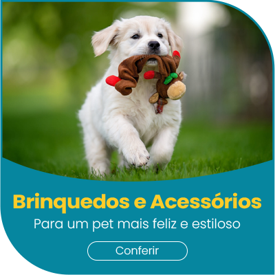 BRINQUEDOS E ACESSÓRIOS