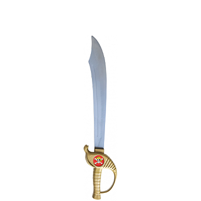 ESPADA PIRATA 55CM - TOYMASTER
