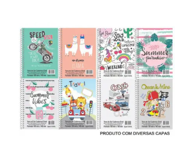 CADERNETA ESPIRAL CAPA FLEXIVEL 1/8 COM 96 FOLHAS - ALTERNATIVA