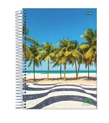 CADERNO ESPIRAL CAPA DURA 1/4 COM 96 FOLHAS BRASILIDADE - JANDAIA