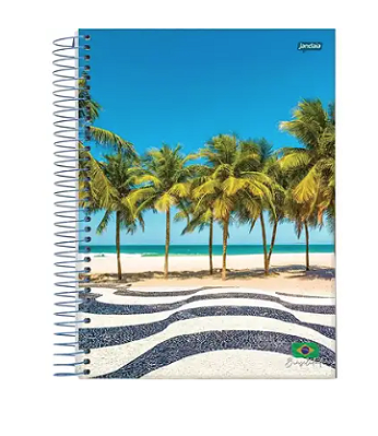 CADERNO ESPIRAL CAPA FLEXIVEL 1/4 COM 96 FOLHAS BRASILIDADE - JANDAIA