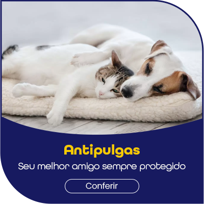 MINI BANNER ANTIPULGAS