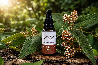Tintura de Canela de Velho - 30 ml - Natura Veda