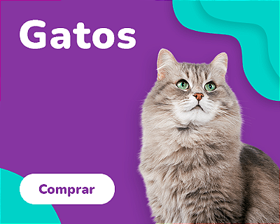 Gatos