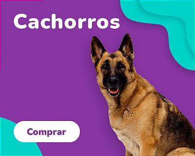 Cães