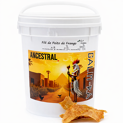 Balde de Filé de Peito de Frango