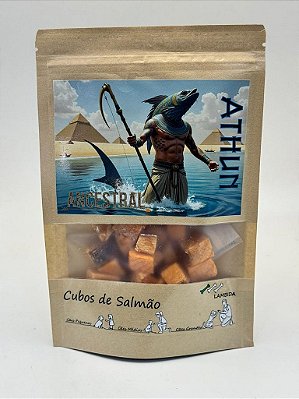 Cubo de Salmão - Liofilizado