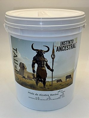 Balde de Miolo de Alcatra Bovina