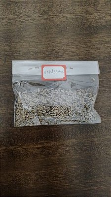 Alfazema Desidratada – 100% Natural (25g)