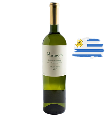 Mataojo Albarino Fresco - Vinho Branco Uruguaio