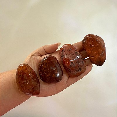 Cornalina Rolada – Coragem, Criatividade e Vitalidade