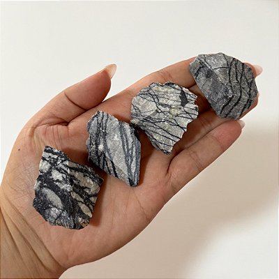 Jaspe Net Bruto – Estabilidade, foco e autoconfiança