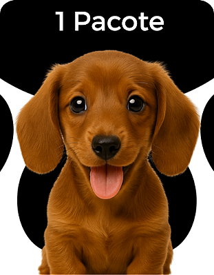 1 Pacote