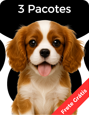 3 Pacotes