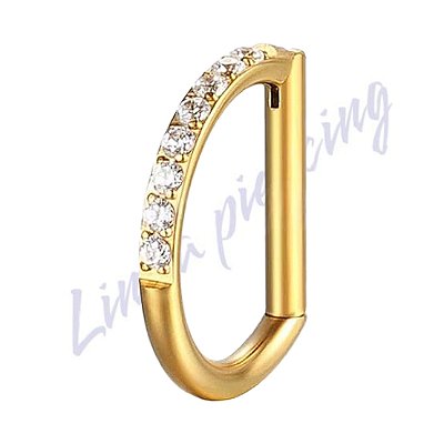 Meia Argola Titânio pvd Segmento Zircônia Cravejada 1.2x8