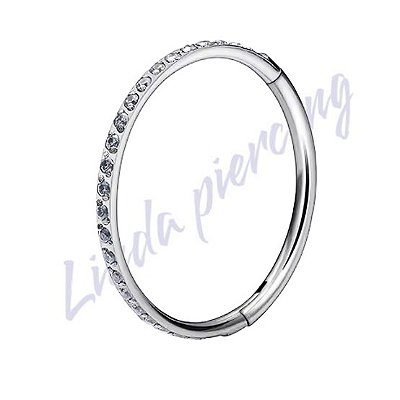 Argola Segmento Titânio Zircôrnia 8x1.0