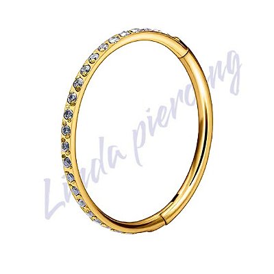 Argola Segmento Titânio pvd Zircôrnia 10x1.0