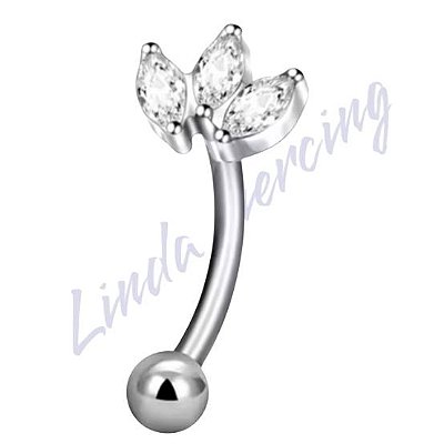 Minibarbell Curvo Titânio cravejado Zircônias