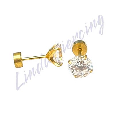 Brinco Titânio pvd c/chapinha 6mm