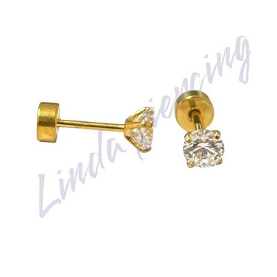 Brinco Titânio Pvd c/chapinha 4mm