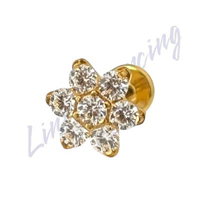 Labret Titânio pvd Flor 7 pedra 1.2x8