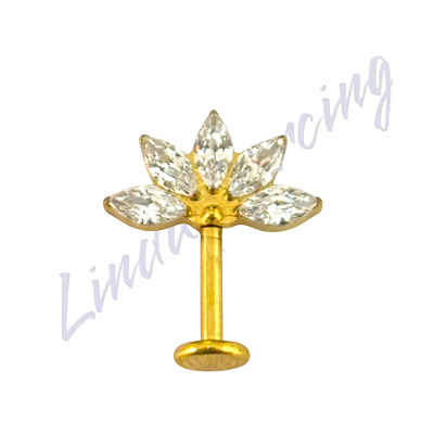 Labret Vertical Titânio pvd 1.2x8