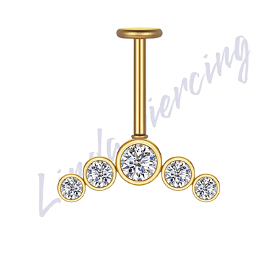 Labret Vertical Cluster 5 pedra Titânio pvd 1.2x8