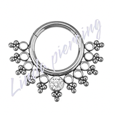 Argola Segmento Frontal Titânio Cravejado 1.2x8