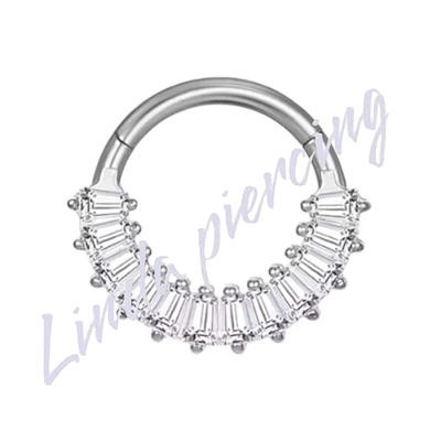 Argola Segmento Frontal Cravejada Titânio