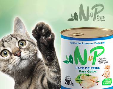 Mini Banner - Natural & Prime