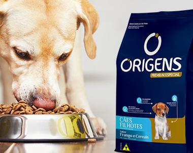 Mini Banner - Origens