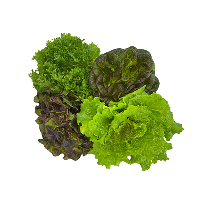 Caixa 4 - Entrega Programada