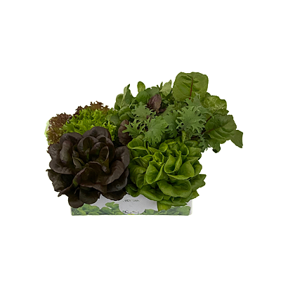 Caixa Mix 3+1 - Entrega Programada