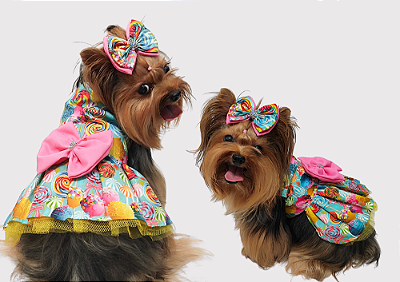 Vestido Pet Premium Lollipop Gaby Moda Pet - Venda Atacado
