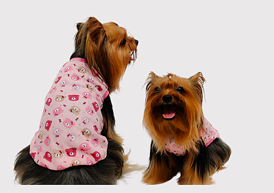 T Shirt  Pet Ursinha Gaby Moda Pet - Atacado