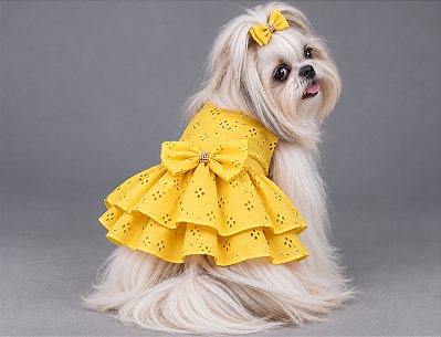 Vestido Pet Laise Amarelo Gaby Moda Pet - Venda Atacado