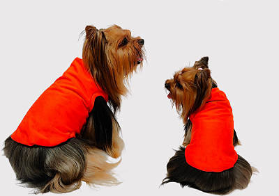 Roupa Moletom Básica Vermelha Gaby Moda Pet Atacado