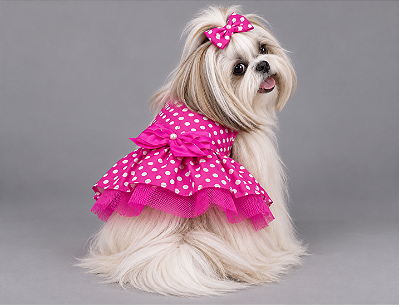 Vestido Pet Pink Poazinho Gaby Moda Pet - Venda Atacado