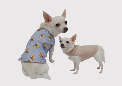 Capinha Pet Premium Bulldogue Gaby Moda Pet - Venda Atacado