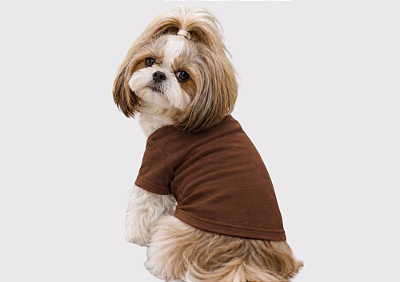 Camiseta Pet Lisa Marrom Atacado - Venda Atacado