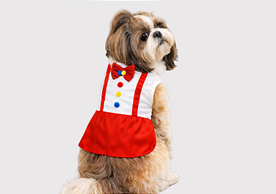 Fantasia Pet para Cachorro Palhacinho Gaby Moda Pet Venda Atacado