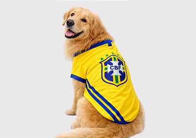 Camiseta Pet Copa Brasil Amarela Premium Gaby Moda Pet - Venda Atacado
