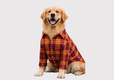 Roupa Camisa Pet Inverno Xadrez Marrom Gaby Moda Pet - Venda Atacado