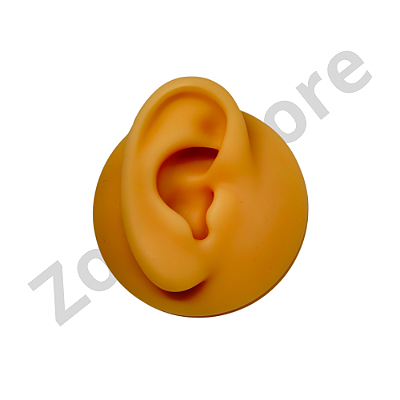 Expositor Orelha direita silicone