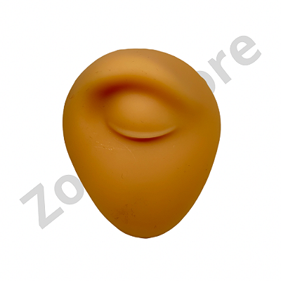 Expositor Sombrancelha silicone