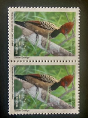 Selos do Brasil - Pica pau do Parnaiba - 2008 - Mint - ref.27