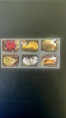 Série de Selos do Brasil - Diversidade de Fungos - 2019 - Mint - ref.486