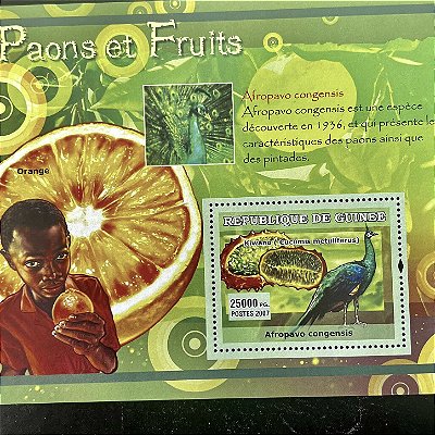 Bloco Grande de Selos Estrangeiros - 14x11cm - Paons et Fruits - Republique de Guinee - Mint - ref.502